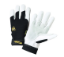 Picture of General leather gloves 